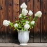 Donica Jones ryflowana krem puchar