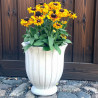 Donica Jones ryflowana krem puchar