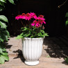 Donica Jones ryflowana krem puchar