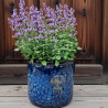 Donica Heritage Edwin cylinder granat