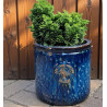 Donica Heritage Edwin cylinder granat