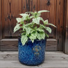 Donica Heritage Edwin cylinder granat