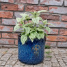 Donica Heritage Edwin cylinder granat