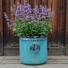 Donica Heritage Edwin cylinder turkus