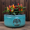 Donica Heritage Edwin misa cylinder turkus