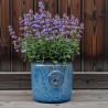 Donica Heritage Edwin cylinder niebieska