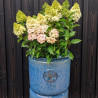 Donica Heritage Edwin cylinder niebieska