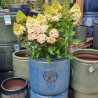 Donica Heritage Edwin cylinder niebieska