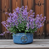 Donica Heritage Edwin misa cylinder niebieska