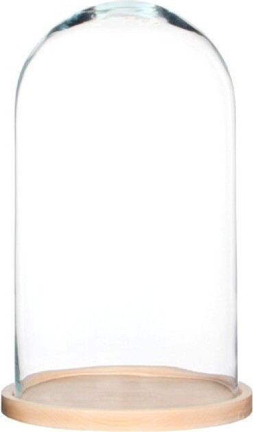 Duży szklany klosz z jasnobrązową drewnianą podstawą
