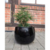 Donica szkliwiona kula czarna