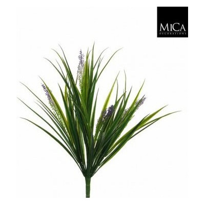 Trawa z fioletowym kwiatostanem