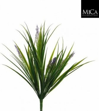 Trawa z fioletowym kwiatostanem