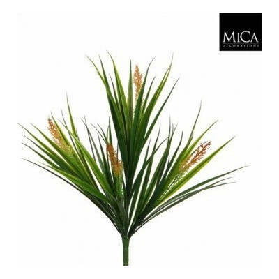 Trawa z żółtym kwiatostanem