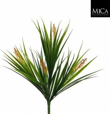 Trawa z żółtym kwiatostanem