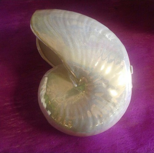 Muszla perłowa duża