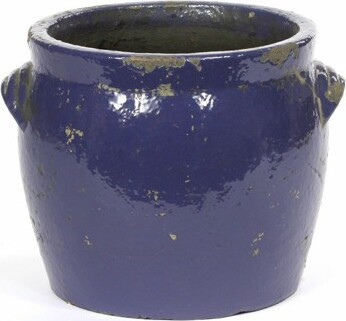 Osłonka Lily niebieska