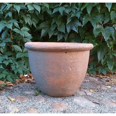 Donica sycylijska z rantem