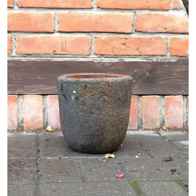 Donica sycylijska bez rantu