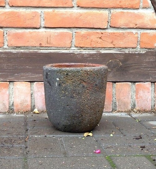 Donica sycylijska bez rantu