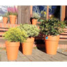 Donica terakota wysoka naturalna
