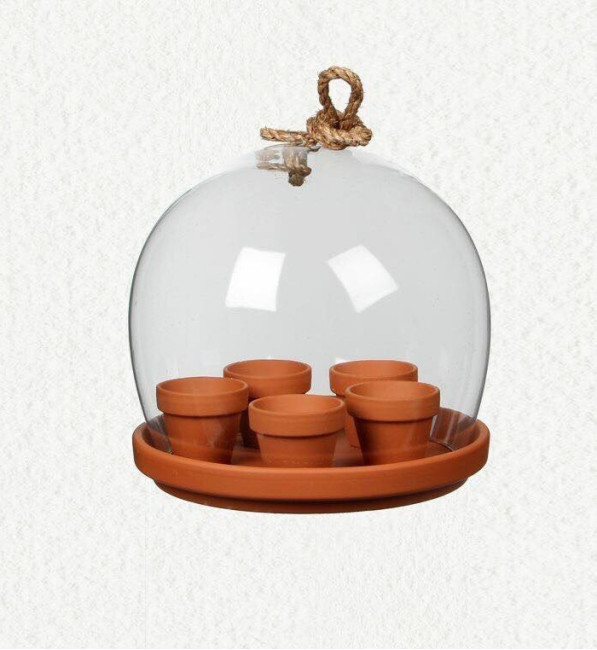Klosz szklany na terakotowej podstawie z doniczkami