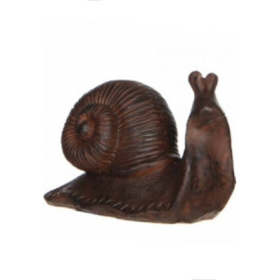 Ślimak brązowy