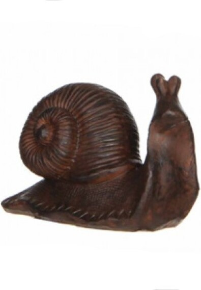 Ślimak brązowy
