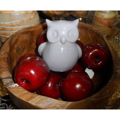 Sowa siedząca szara