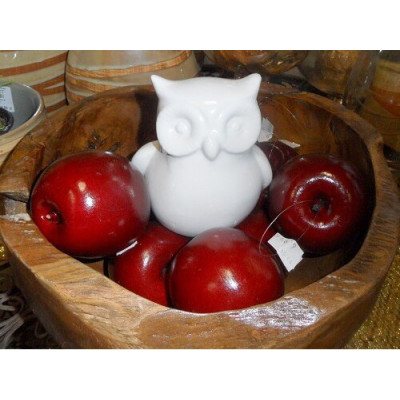 Sowa siedząca biała