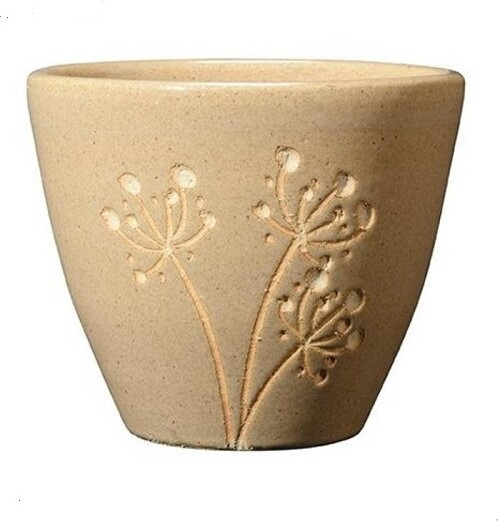 Donica Dmuchawiec beż