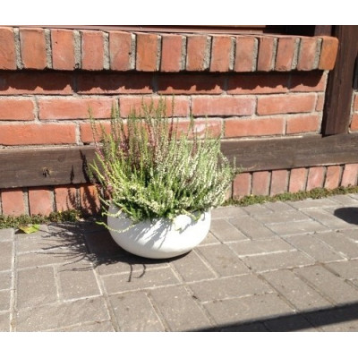 Donica DeeF betonowa misa biała