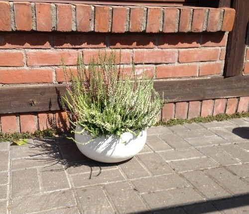 Donica DeeF betonowa misa biała