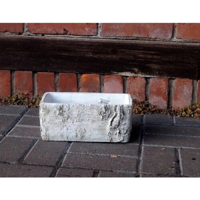 Osłonka Brzoza prostokątna