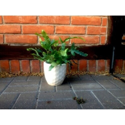 Doniczka Golf biała