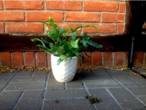 Doniczka Golf biała