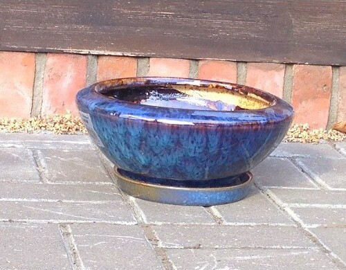 Misa Szalin niebieska