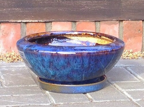 Misa Szalin niebieska