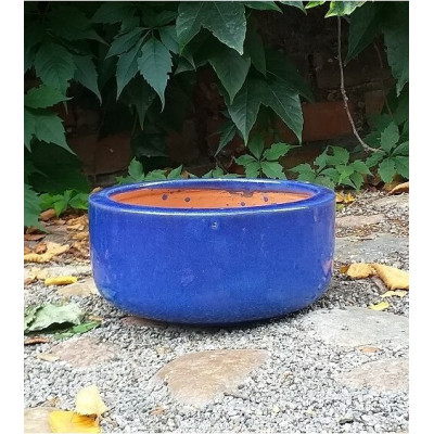 Donica misa prosta niebieska