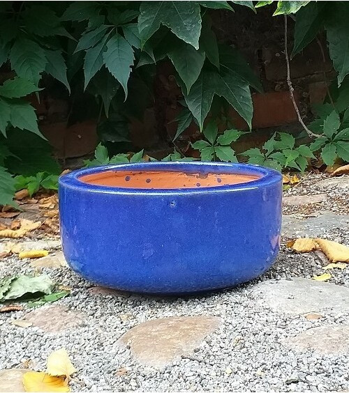 Donica misa prosta niebieska