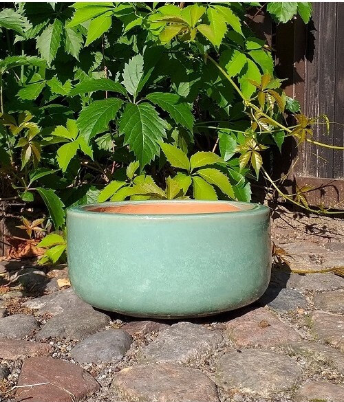 Donica misa prosta seledynowa