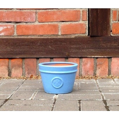 Donica Lilia błękitna