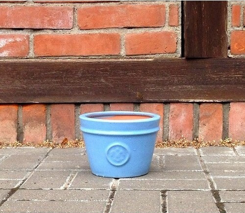 Donica Lilia błękitna