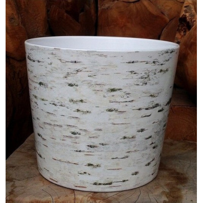 Osłonka Brzoza szkliwiona