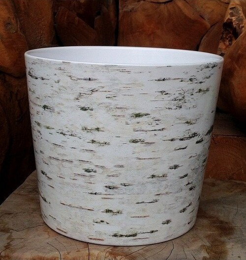 Osłonka Brzoza szkliwiona