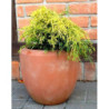 Donica terakota Terste okrągła bez rantu