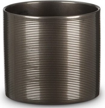 Walec prążkowany brązowy Royal Shine