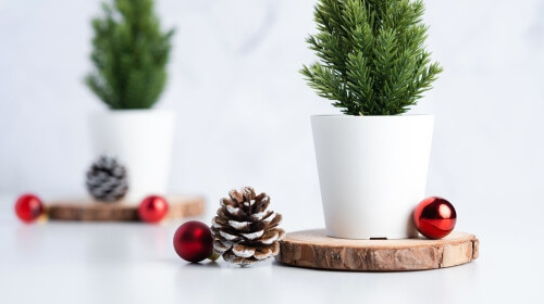 Święta Bożego Narodzenia