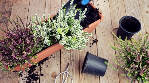 Witamy na naszej nowej stronie internetowej! 